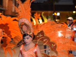 Carnaval de Mula 2012
